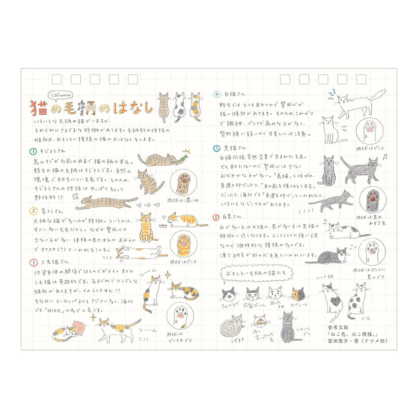 Midori 2027 A Year With My Cat Mini Calendar - M