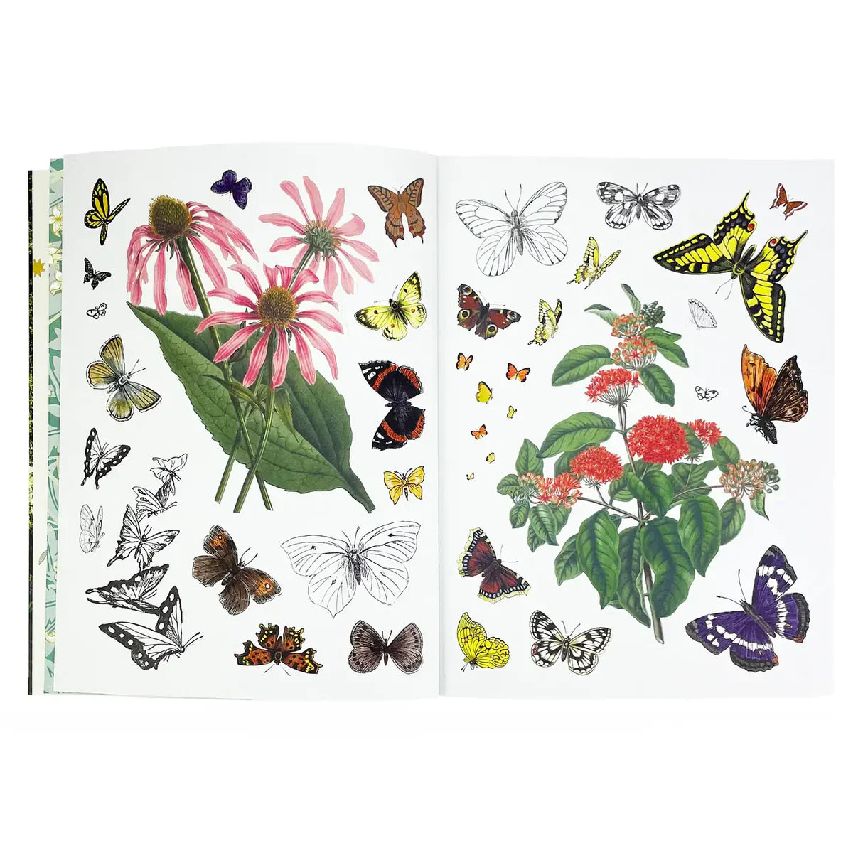 Stickers & Sticker Books
