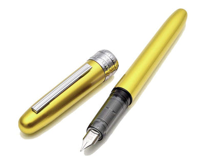 Plaisir Fountain Pen - Platinum