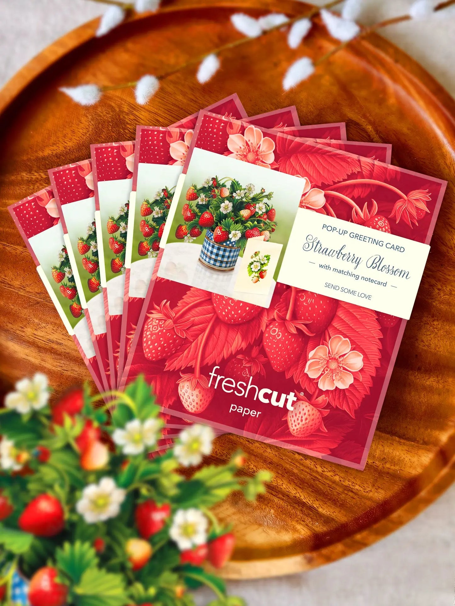 Freshcut Paper Pop-up