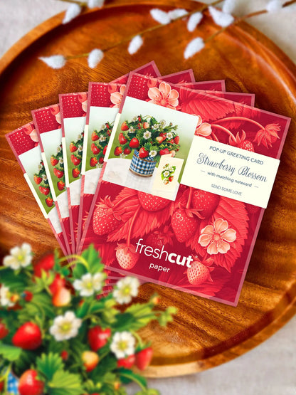 Freshcut Paper Pop-up