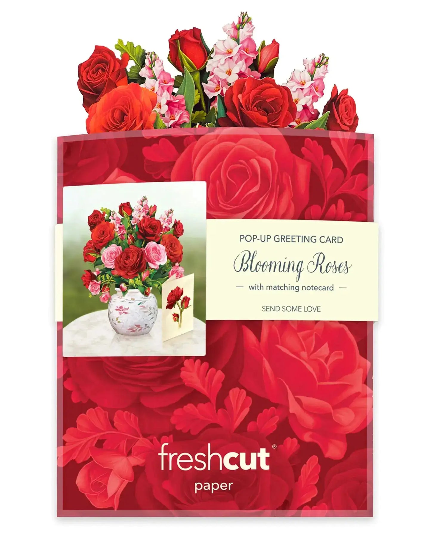 Freshcut Paper Pop-up