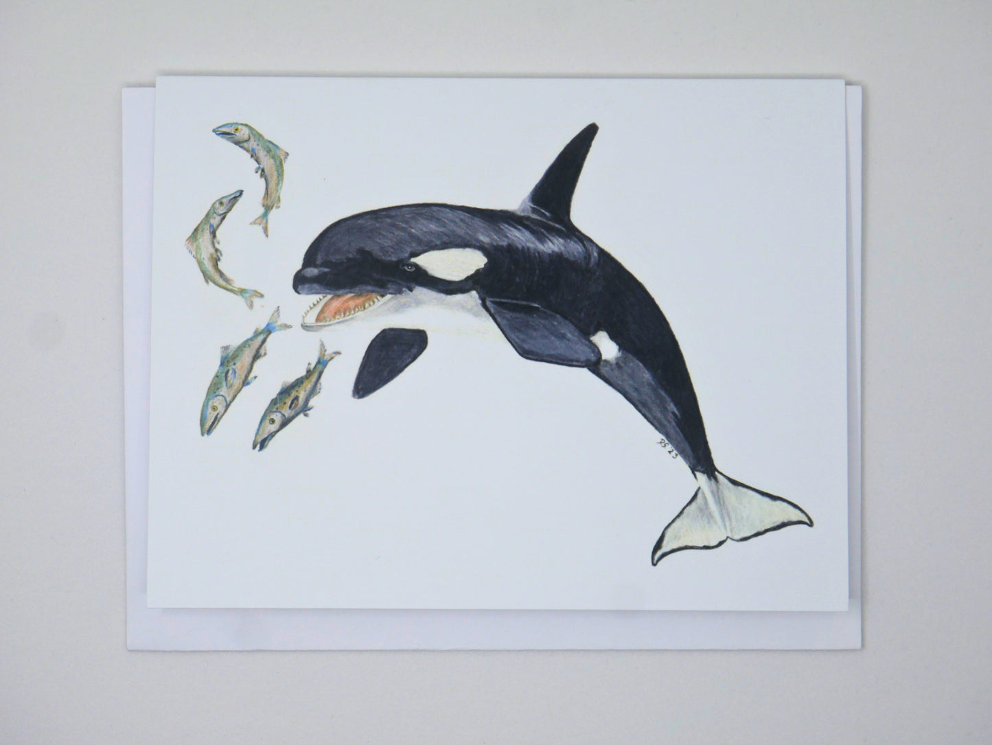 Card and Cloth - Orca Card