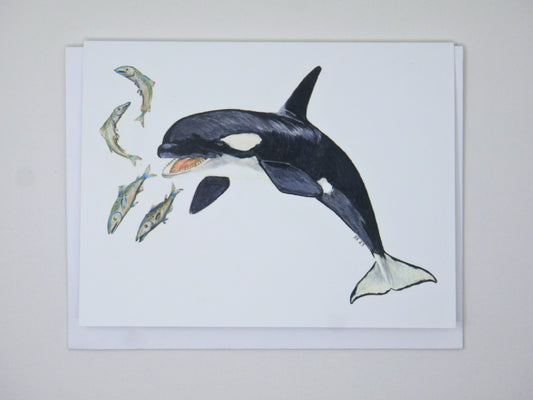 Card and Cloth - Orca Card