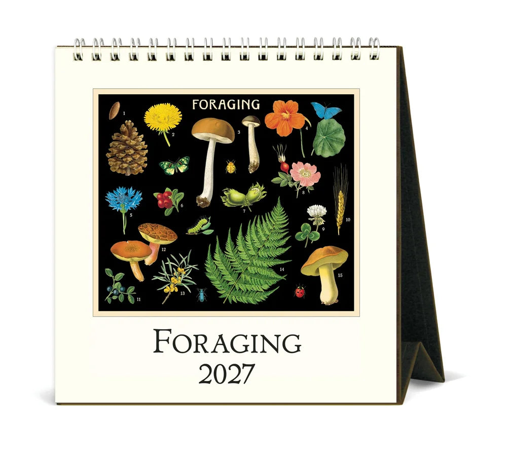 Cavallini 2027 Desk Calendar
