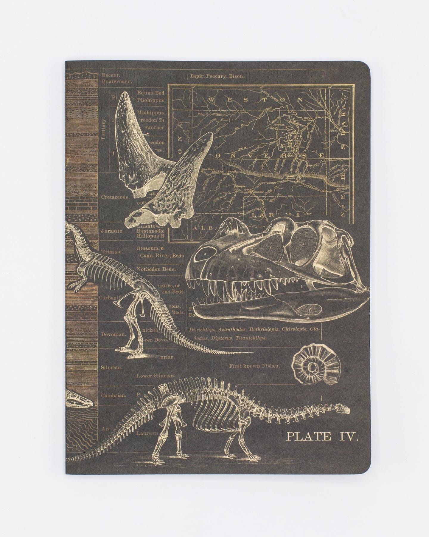 Cognitive Surplus Softcover Notebook