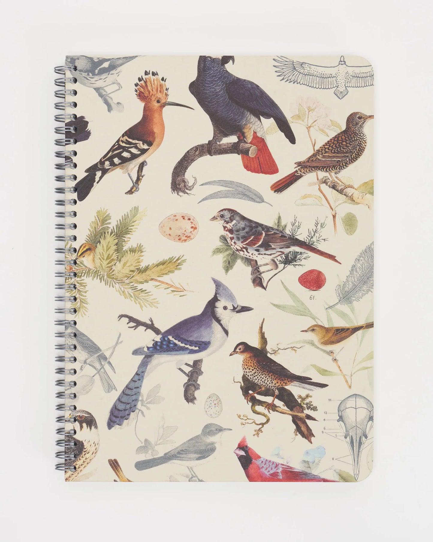 A5 Spiral Notebook - Cognitive Surplus