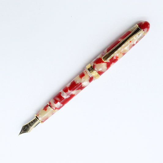 Century Celluloid Fountain Pen - Platinum