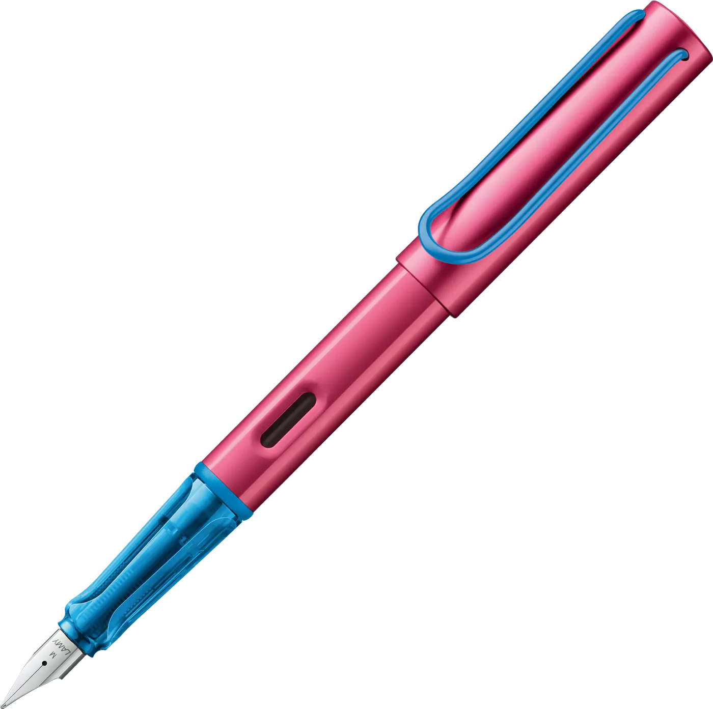 Lamy Fountain Pens