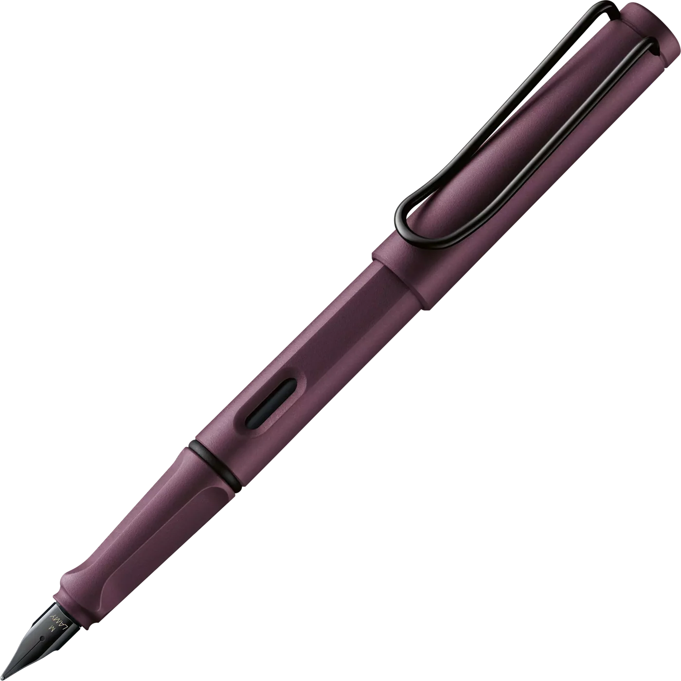 Lamy Fountain Pens