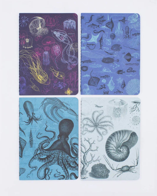 Notebook: Research 4- pack - Cognitive Surplus
