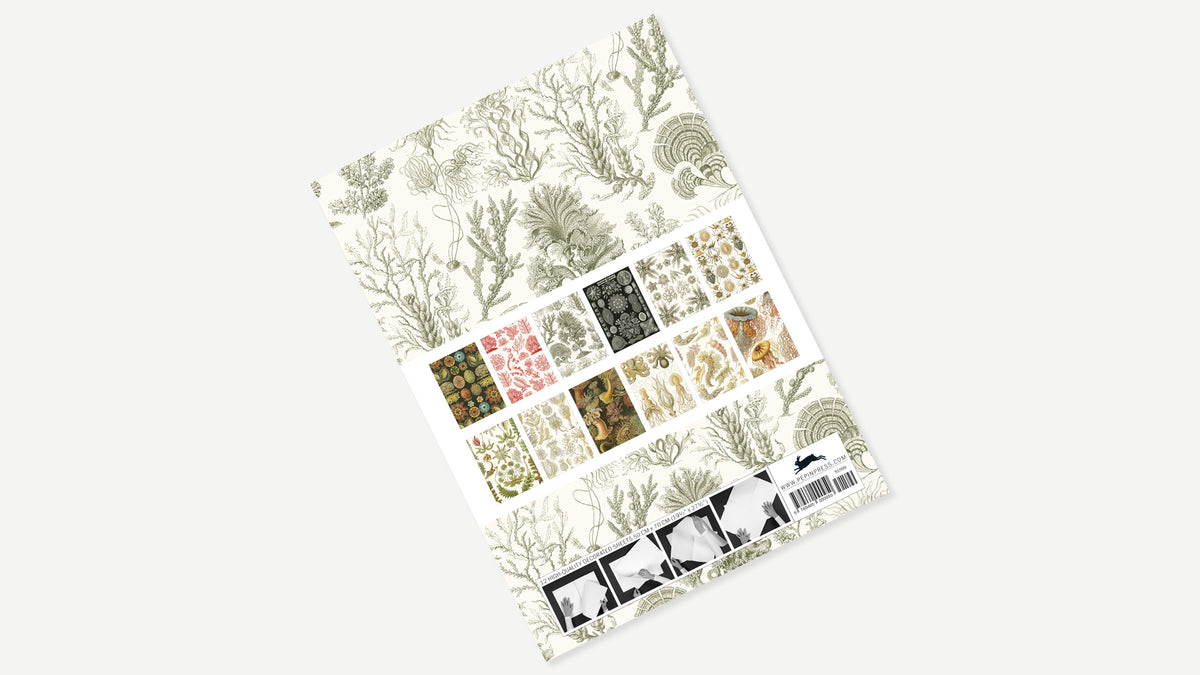 Gift & Creative Papers - Pepin