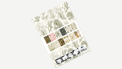 Gift & Creative Papers - Pepin