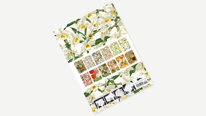 Gift & Creative Papers - Pepin