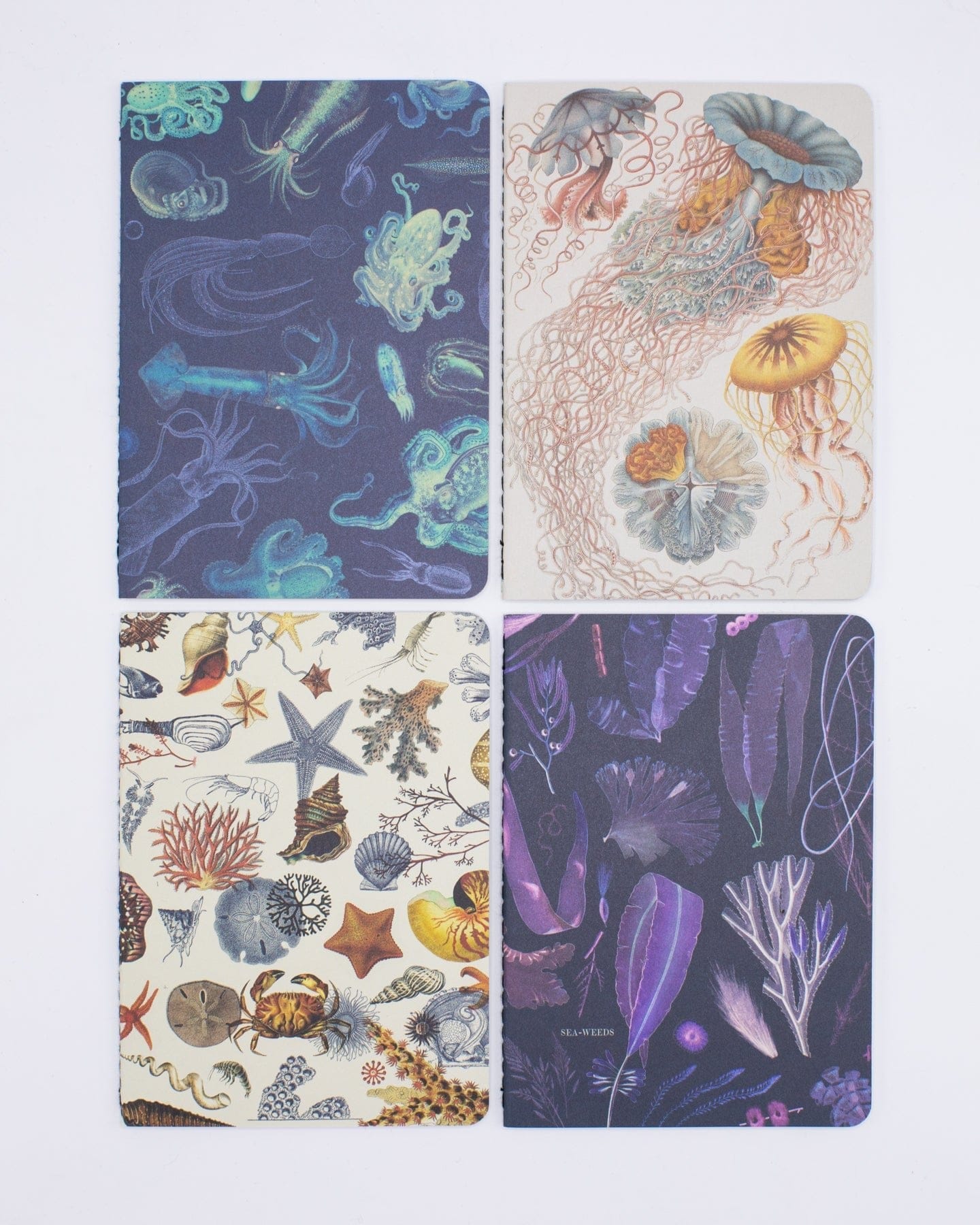 Notebook: Research 4- pack - Cognitive Surplus