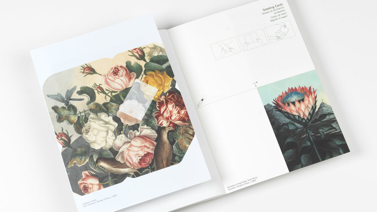 Flowers Creative Paper Book - Pepin