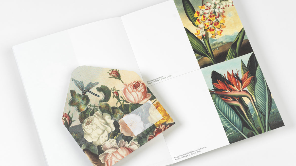 Flowers Creative Paper Book - Pepin