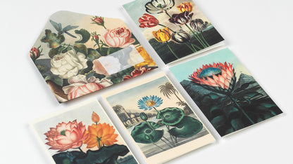 Flowers Creative Paper Book - Pepin