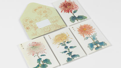 Japan Creative Paper Book - Pepin