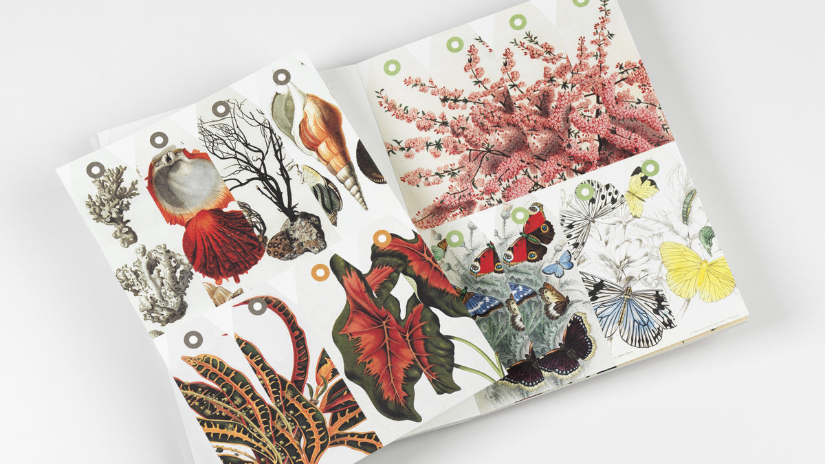 Natural History Creative Paper Book - Pepin