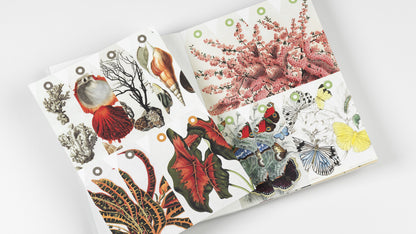 Natural History Creative Paper Book - Pepin