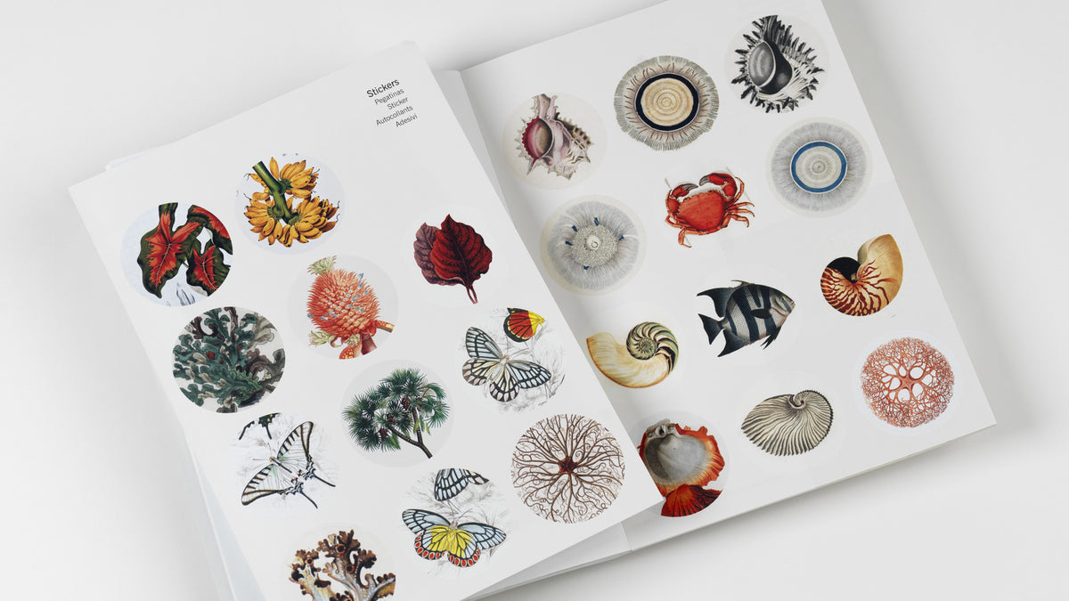 Natural History Creative Paper Book - Pepin