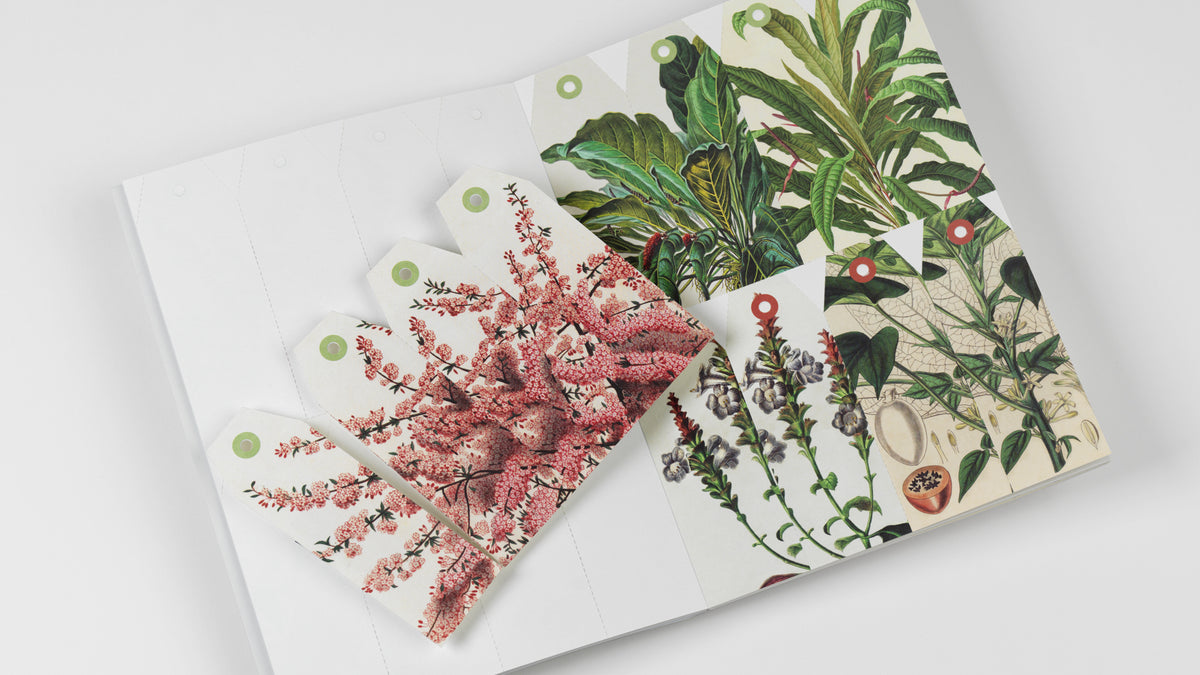 Natural History Creative Paper Book - Pepin