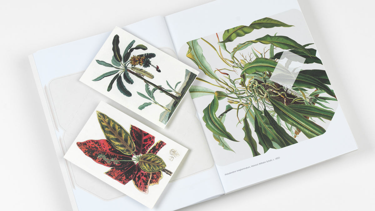 Natural History Creative Paper Book - Pepin