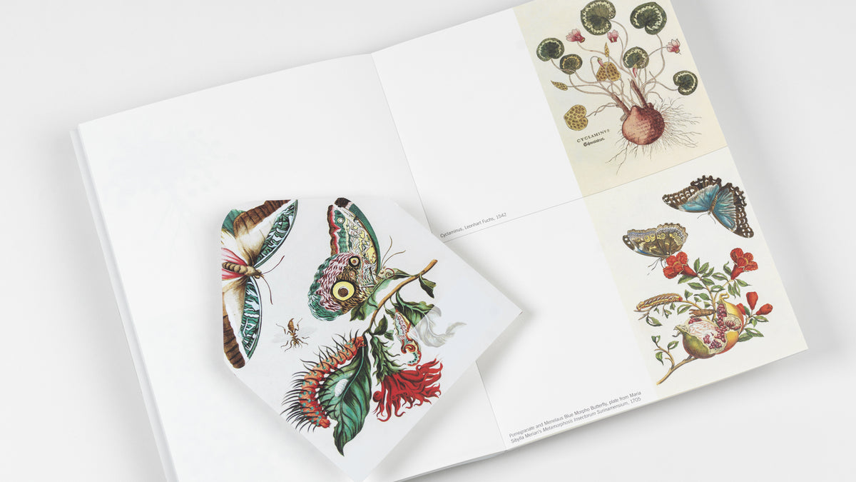 Natural History Creative Paper Book - Pepin