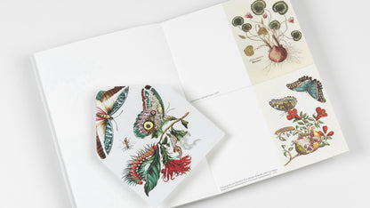 Natural History Creative Paper Book - Pepin
