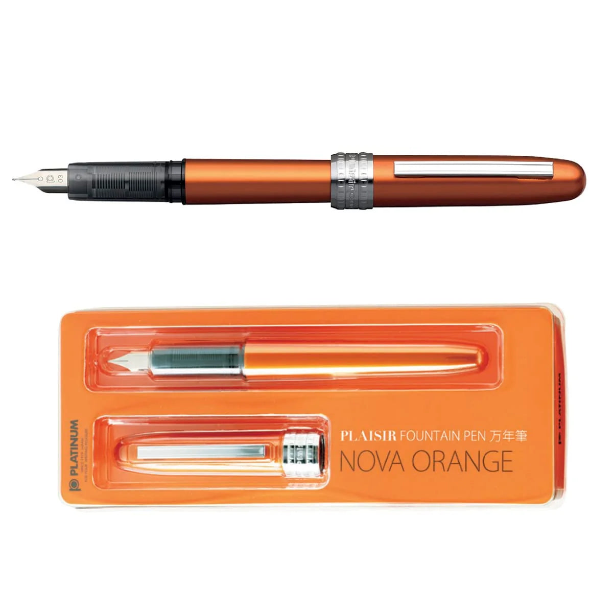 Plaisir Fountain Pen - Platinum