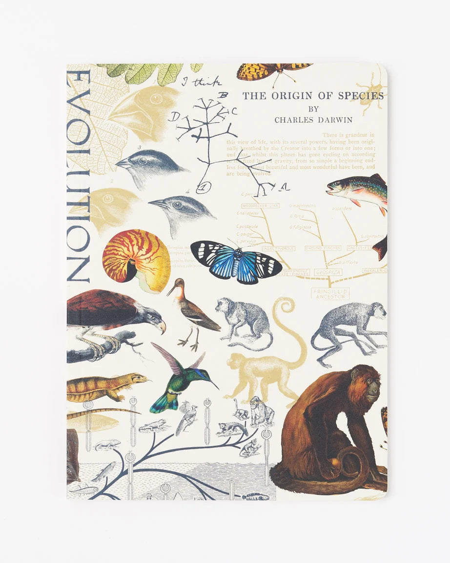 Cognitive Surplus Softcover Notebook
