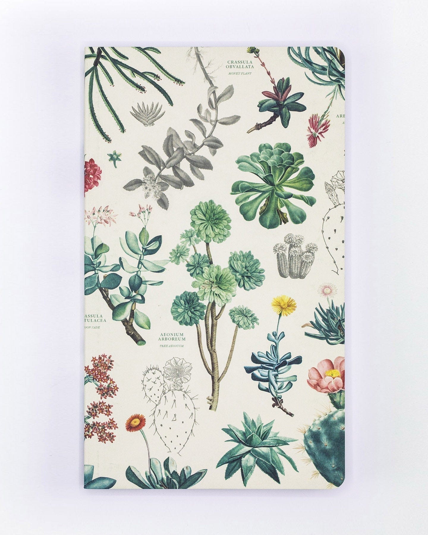 Yearly Planner - Undated - Cognitive Surplus