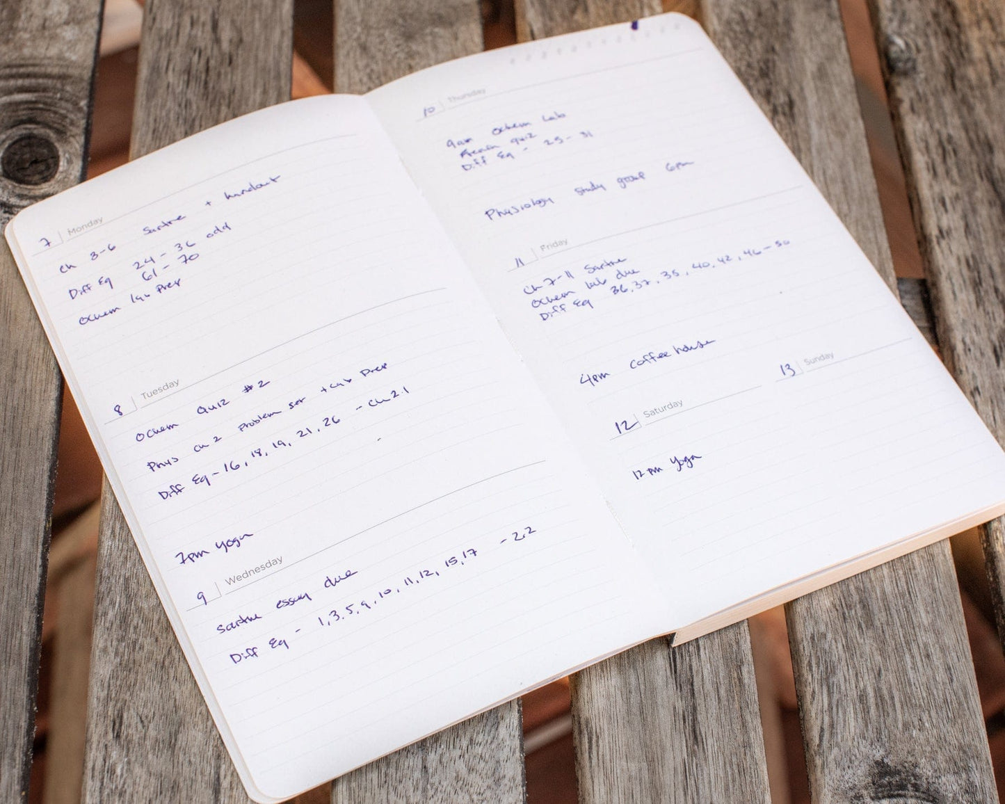 Yearly Planner - Undated - Cognitive Surplus