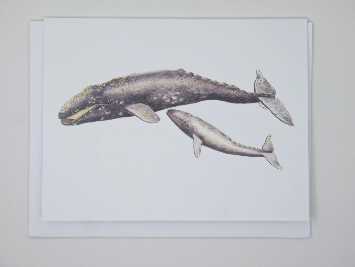 Card and Cloth - Mom and Baby Whale