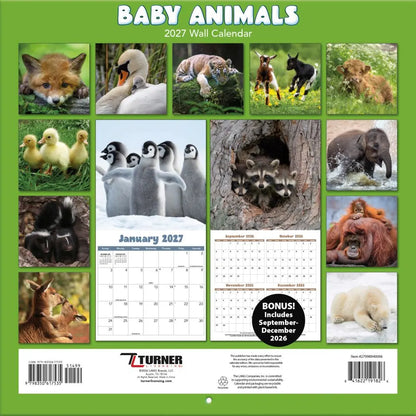 Turner Licensing LANG 2027 Wall Calendar