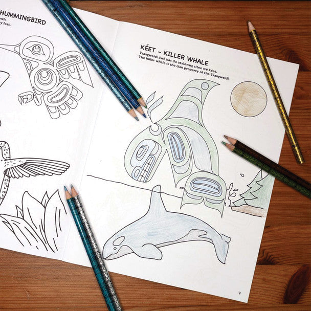 Native Northwest 18 Metallic Coloured Pencils