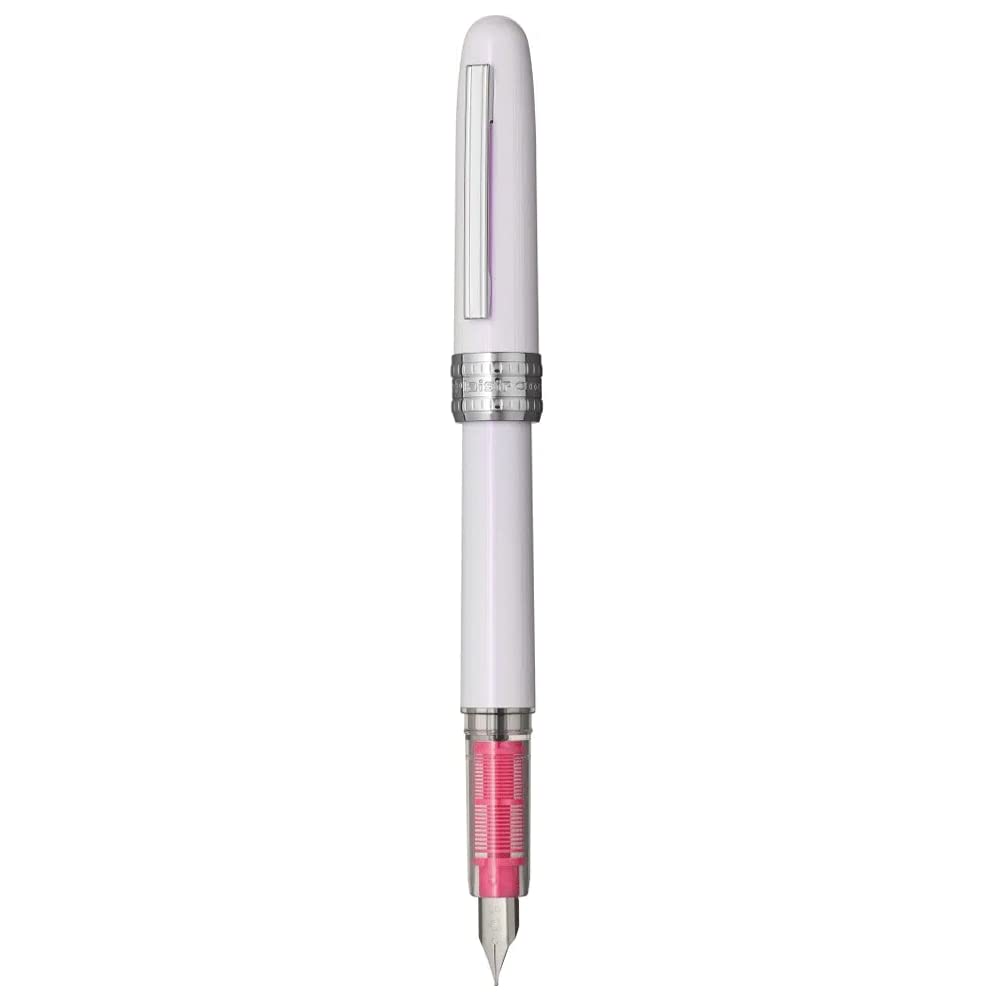 Plaisir Fountain Pen - Platinum