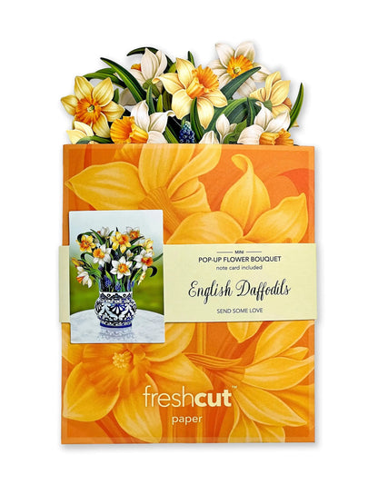 Freshcut Paper Pop-up