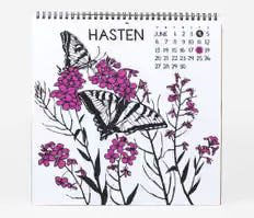 Shall We Begin - Nikki McClure 2027 Calendar