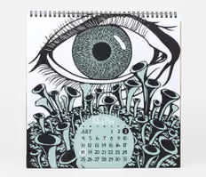 Shall We Begin - Nikki McClure 2027 Calendar