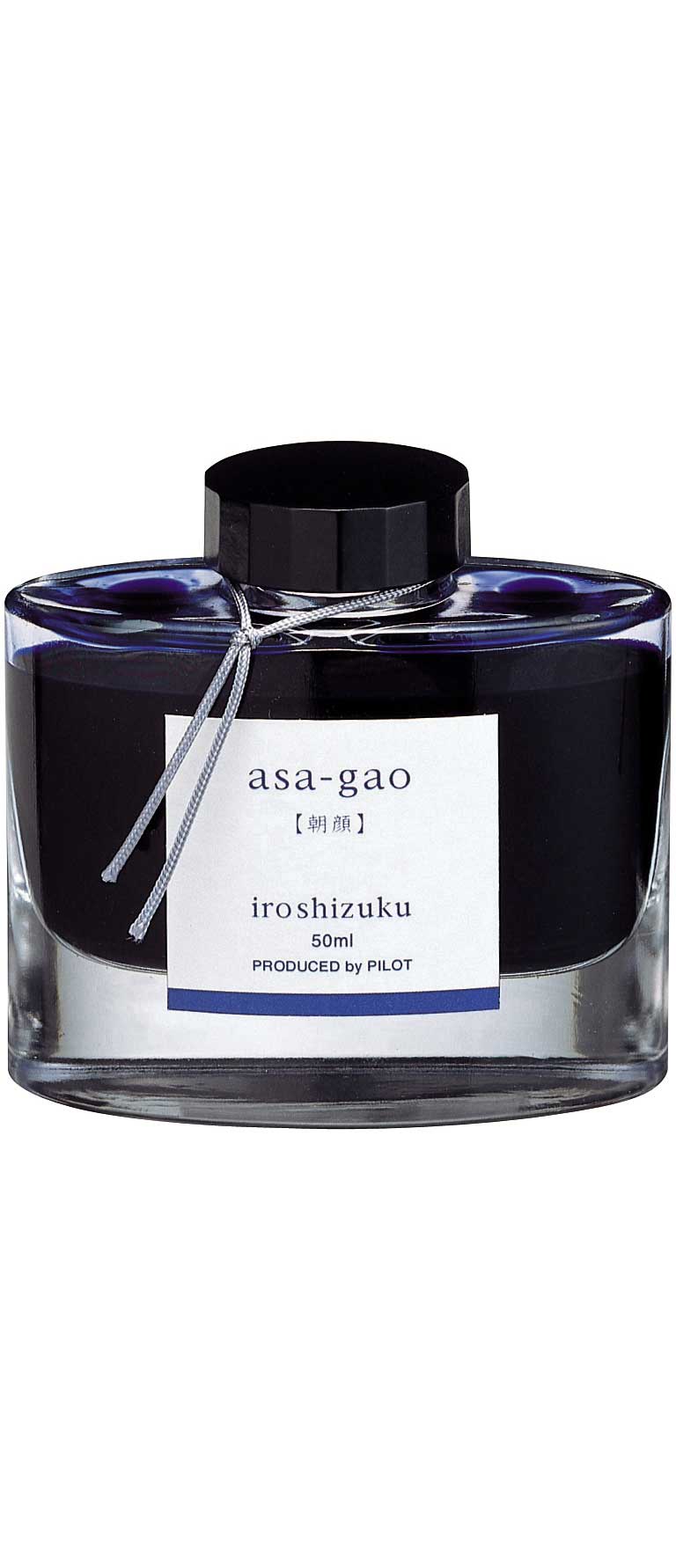 Iroshizuku Ink - Pilot